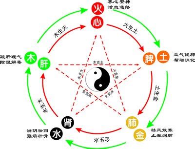 樺字五行|桦字的五行属性